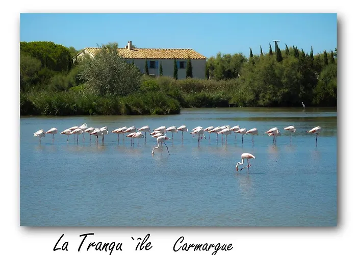 فندق Nature Holiday's Domaine La Grenatiere Pomérols